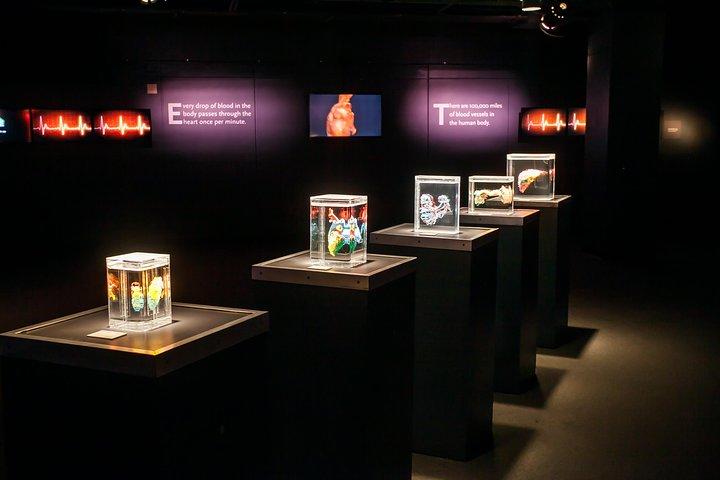 Bodies The Exhibition no Luxor Hotel e Cassino