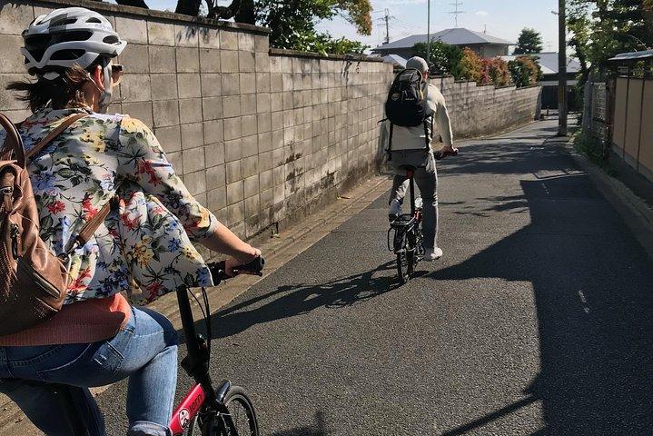 Versteckte Kyoto E-Bike Tour
