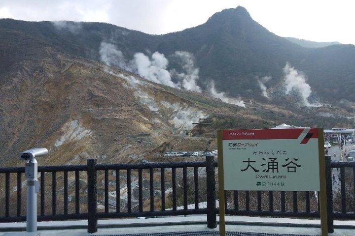Mt. Fuji 5: e Station, Owakudani Ropeway, Pirat Ship plus Outlet shopping!