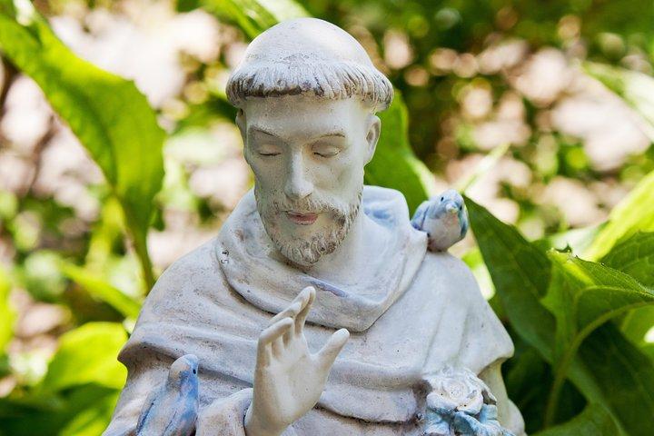 Visita guiada de Assis e Orvieto de Roma com almoço