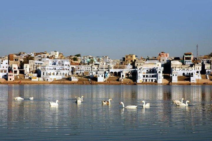 Van Jaipur: Pushkar Self Guided Day Trip
