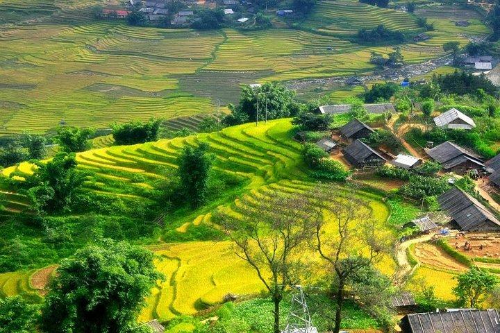 Sapa Easy Trek con Bac Ha Market 2D3N