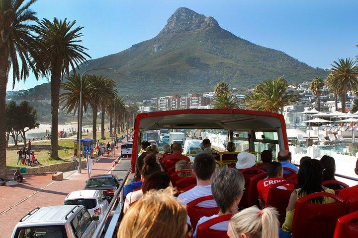 Tour de la ciudad de Ciudad del Cabo con crucero opcional