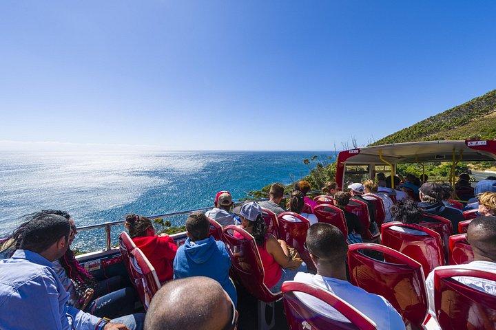 Tour de la ciudad de Ciudad del Cabo con crucero opcional