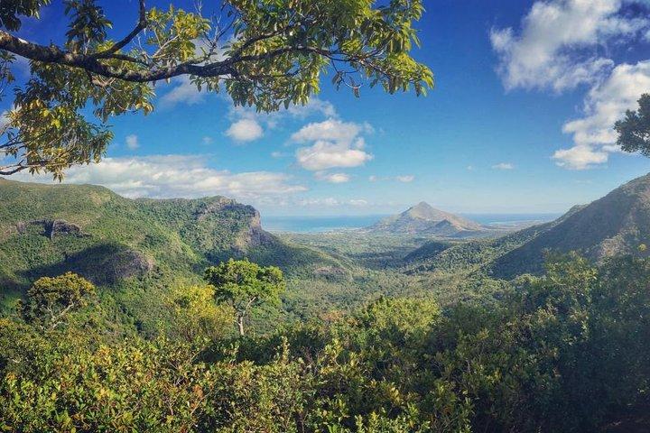 Hiking in the Black River Gorges National Parc - Native Forest