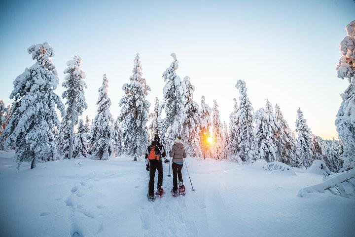 Wilderness snesko eventyr