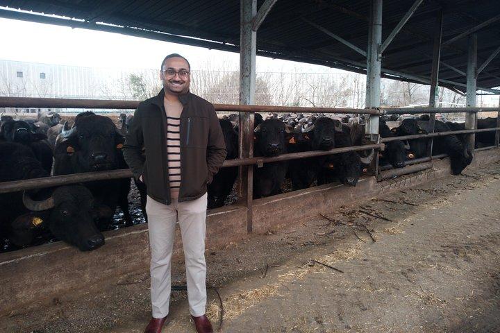 Pompéia SkipTheLine e Monte Vesúvio com almoço e degustação de vinhos de Roma