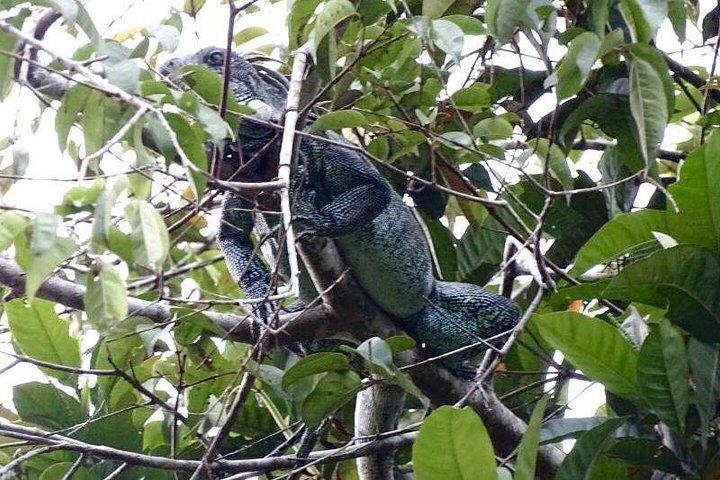 Increíble Selva 3 Días 2 Noches - Amazon Wonder Expeditions