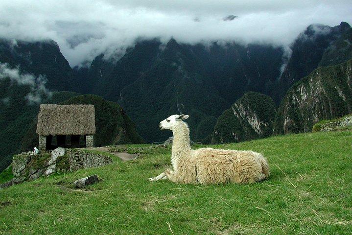8-dages tur fra Lima: Machu Picchu og Amazon Jungle