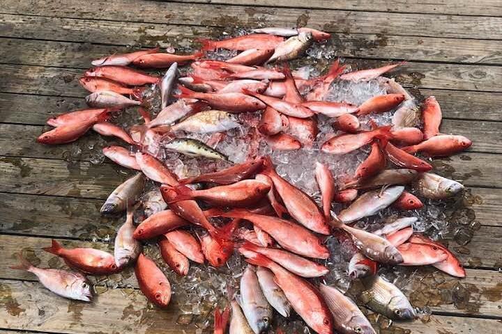 Shared Deep Sea Fishing Trip from Destin