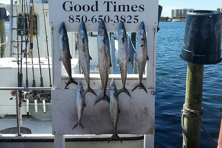 Shared Deep Sea Fishing Trip from Destin