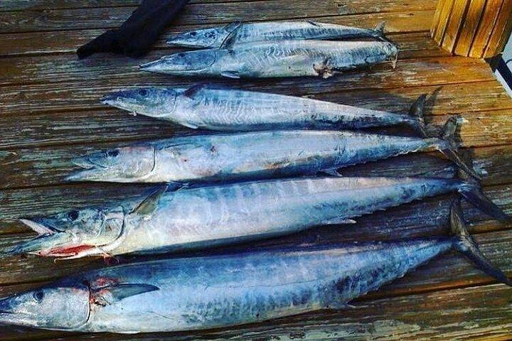 Shared Deep Sea Fishing Trip from Destin