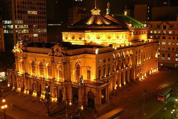 Sao Paulo Private City Night Tour