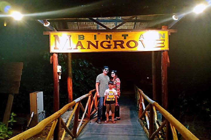 Excursão Descoberta dos Vaga-lumes de Bintan