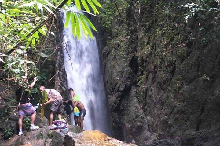 Excursión de senderismo en la jungla para grupos pequeños en el parque Khao Phra Teaw