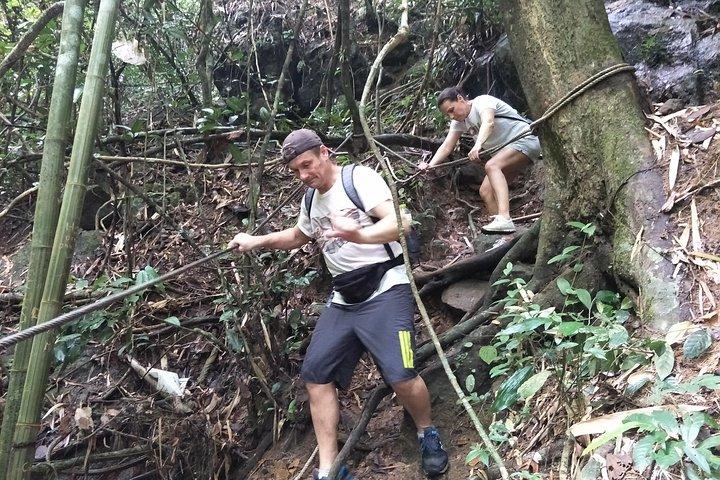 Small-Group Jungle Hiking Excursion in Khao Phra Teaw Park