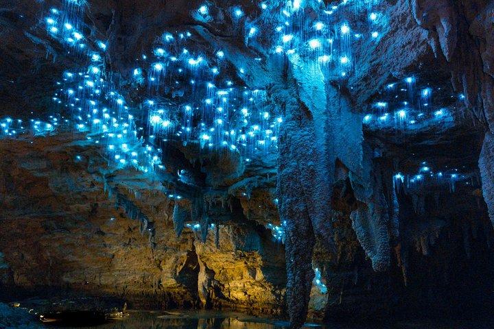 Privétour van Auckland naar Waitomo Glowworm Caves.