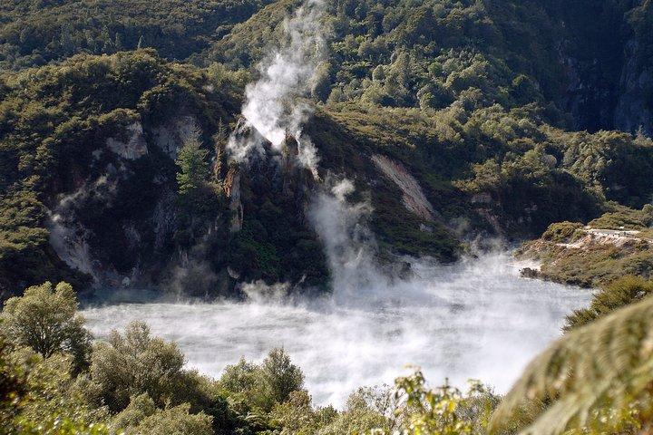 Auckland till Rotorua Private Tour