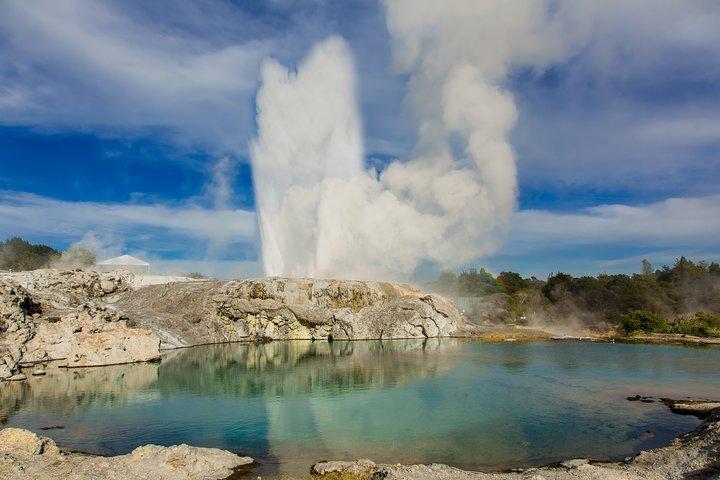 Auckland till Rotorua Private Tour