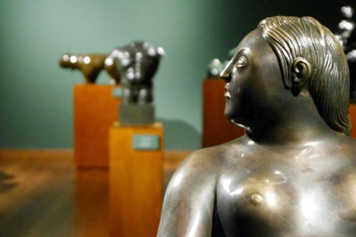 Candelaria and Fernando Botero Museum Tour w/transport in Bogota