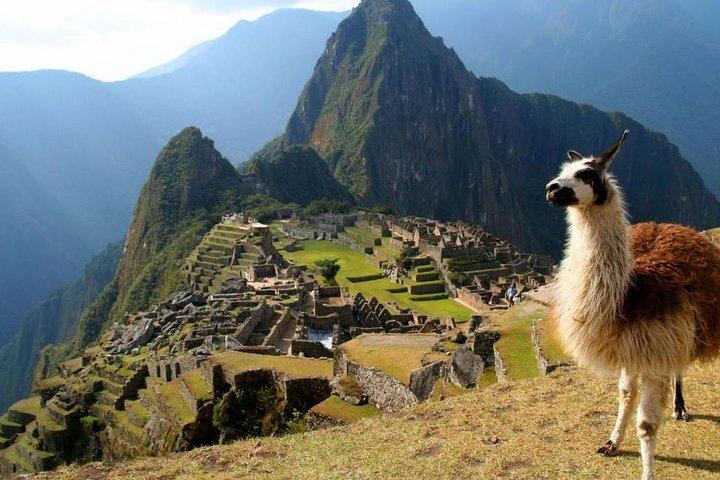 Visita guiada de MACHU PICCHU