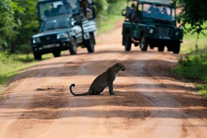 Yala National Park (dagstur)