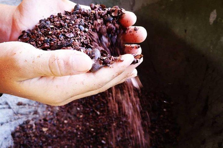 チョコレートツアースタンダード#1：ランチなしの送迎付き