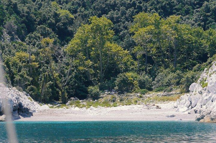 Bootstour "Meereshöhlen von Thetis"