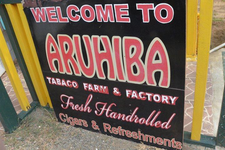 Made in Aruba Sightseeing Tour