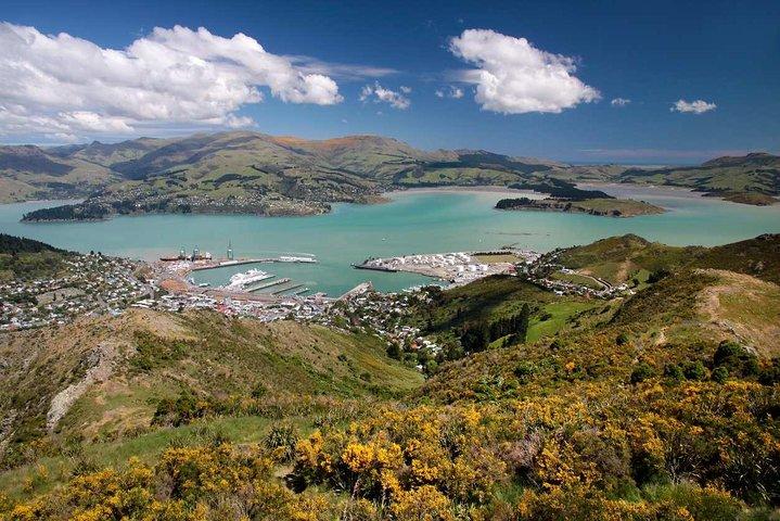 Visite privée d'une journée de luxe privée à Christchurch