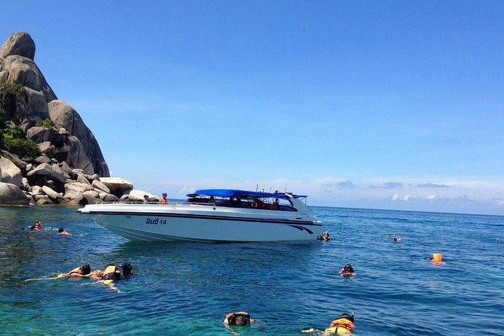 サムイ島発インセアスピードボートでナンユアン島とタオ島への日帰り旅行