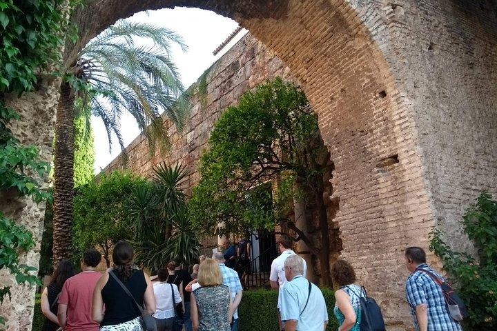 Exklusiv privat rundtur i den kungliga Alcázar i Sevilla