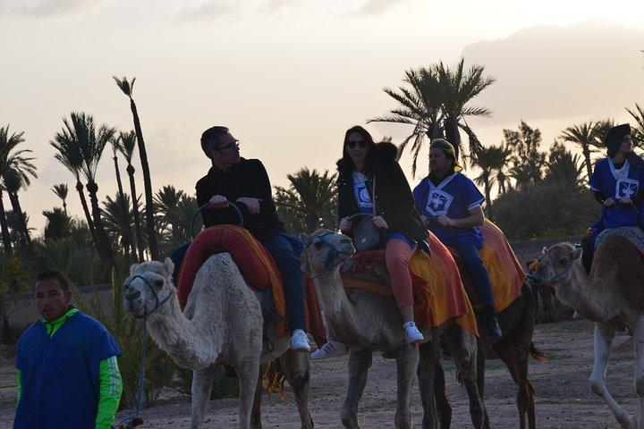 Camel Ride Experience Around Marrakech
