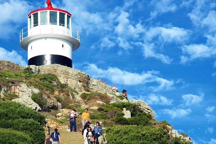 Visite d'une journée à Cape Point avec les pingouins de Boulder
