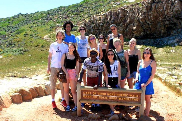 Visite d'une journée à Cape Point avec les pingouins de Boulder