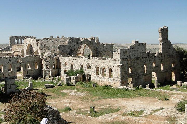 Escursione privata: Monastero di San Simeone con motoscafo e giro in cammello