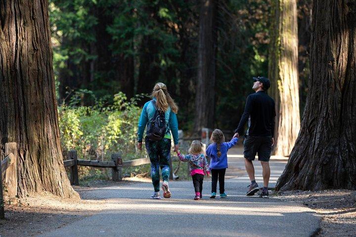 Yosemite and Giant Sequoias Day Tour from San Francisco w Pickup