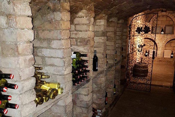 Tour del vino di mezza giornata vicino a Vienna con pasto e trasferimento