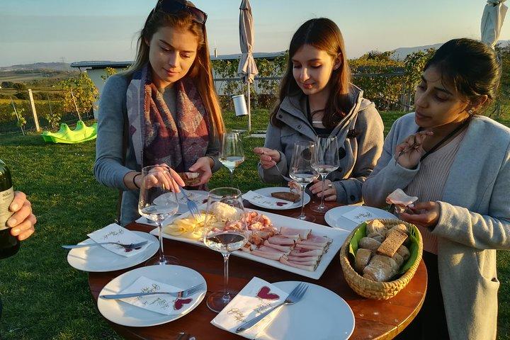 Tour del vino di mezza giornata vicino a Vienna con pasto e trasferimento