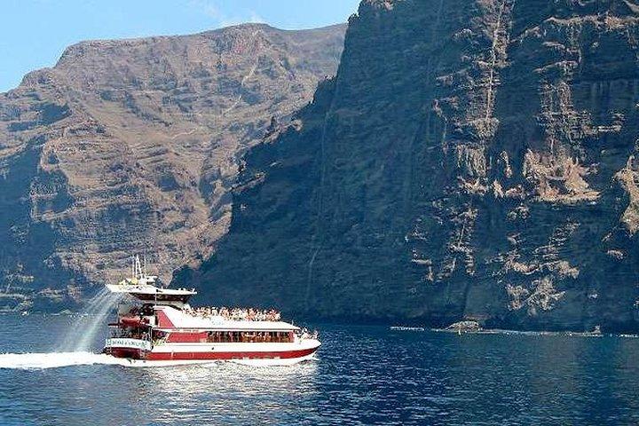 テネリフェ島での4時間5時間のロイヤルイルカとホエールウォッチングエクスカーション