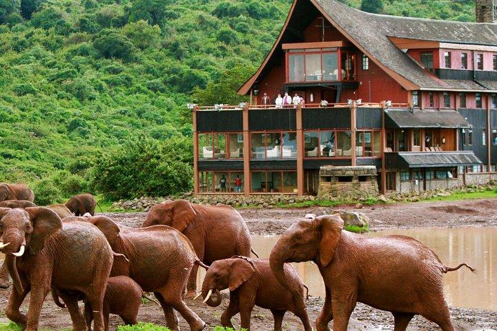 Privé 6 jours à Aberdares, au lac Nakuru et au safari dans la nature du Masaï Mara