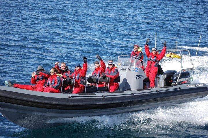 Akureyri Express Walbeobachtung mit dem RIB Boot