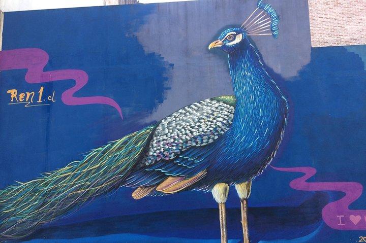 BA: Bästa Street Art Experience i Palermo