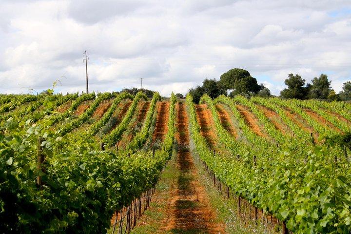 Atelier de mélange de bouteilles privées