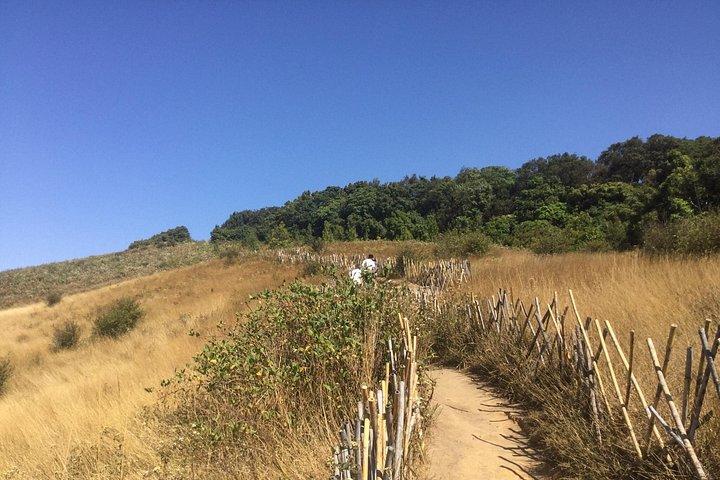 チェンマイ発のKew Mae Pan Trailのインタノン小グループ
