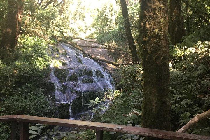 チェンマイ発のKew Mae Pan Trailのインタノン小グループ