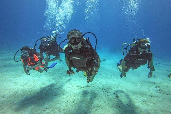 Full-Day Catalina Island Scuba Diving Tour fra La Romana