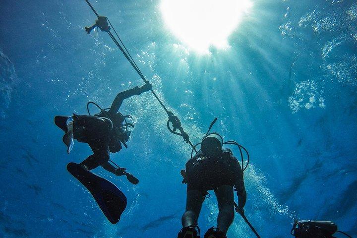Full-Day Catalina Island Scuba Diving Tour fra Punta Cana