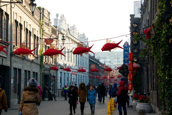 Demi-journée privée Old Harbin Street Walking Tour avec repas