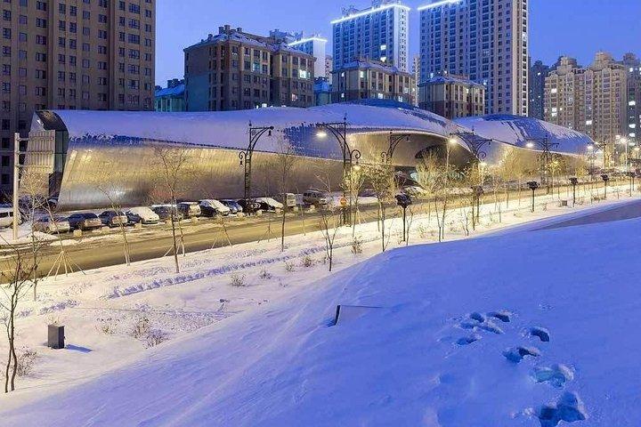 ハルビン広東古道および木彫り博物館の半日ツアー
